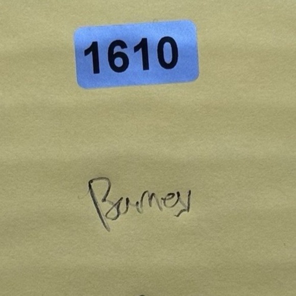 Barney Super Singing Circus DVD Never Before Seen on TV 14 Songs - NO SLIP COVER - Picture 7 of 7